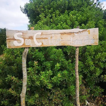 Tatil Evi Su Cuile Relax House With Barbecue *