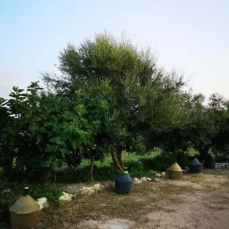 Casa de Férias Su Cuile Relax House With Barbecue *